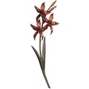 Bronzová orchidej na náhrobek, 42×15 cm
