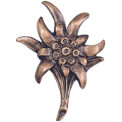 [ST-15340] Bronzový Edelweiß na náhrobek, 7×5 cm