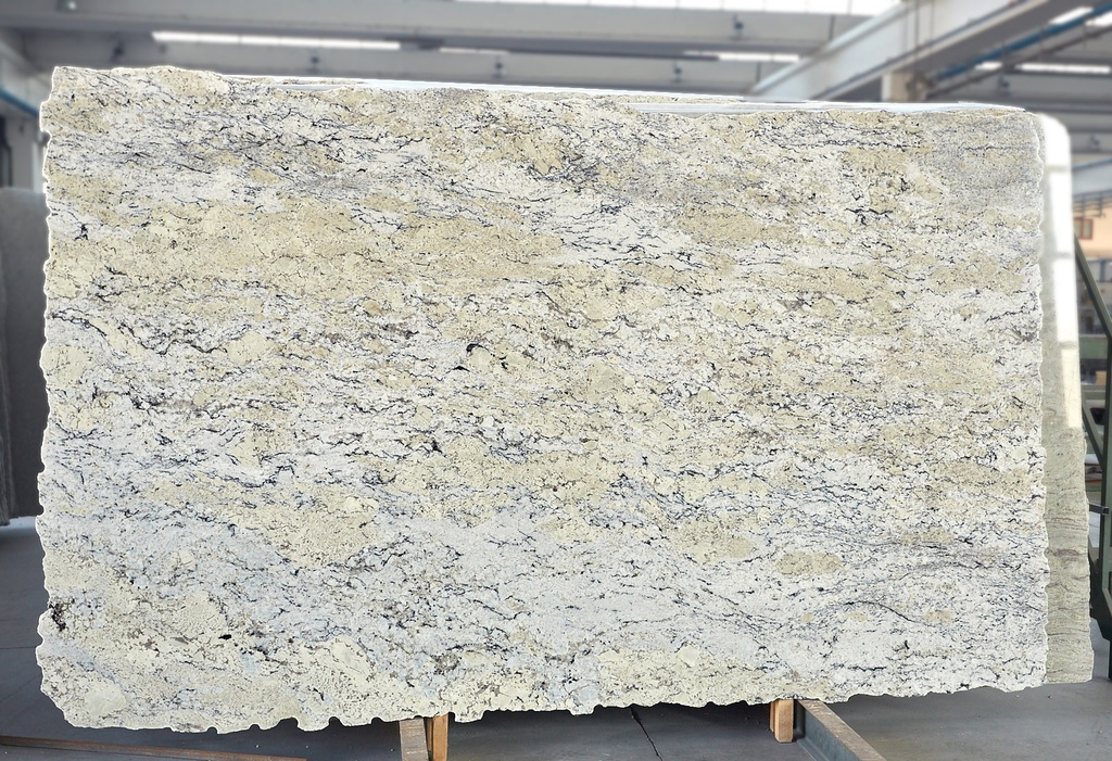 DELICATUS WHITE