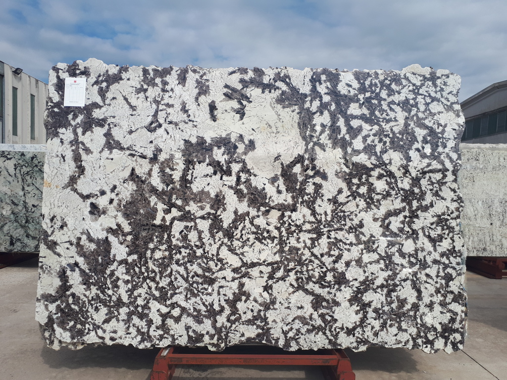 DELICATUS WHITE
