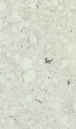 QUARELLA BIANCO APUANO